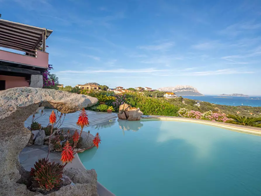 Immagine 24 di Villa in affitto  in Porto IStana a Olbia