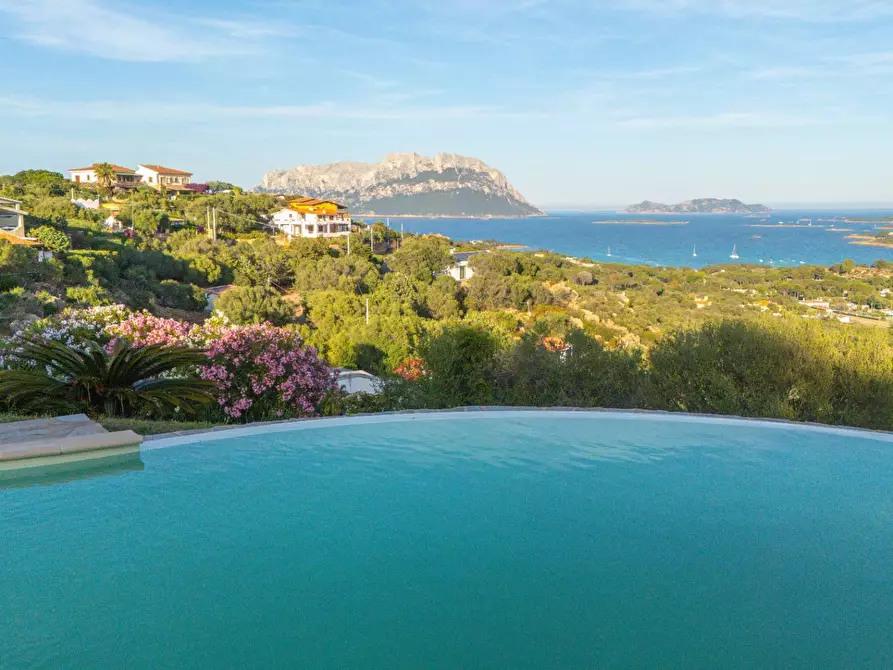 Immagine 25 di Villa in affitto  in Porto IStana a Olbia