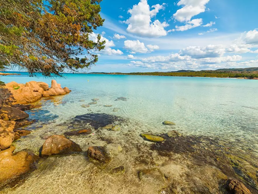 Immagine 30 di Villa in affitto  in Porto IStana a Olbia