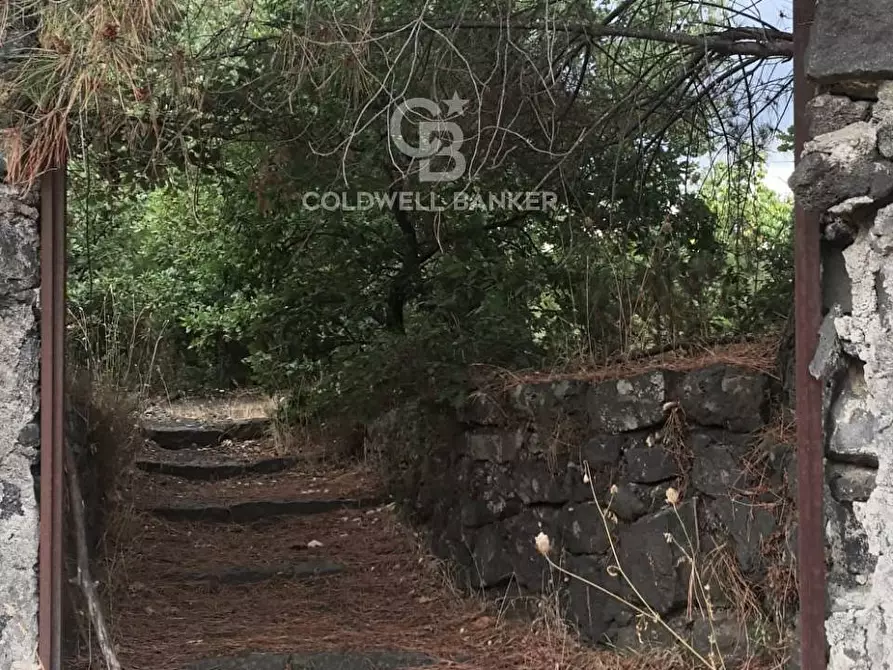 Immagine 1 di Terreno agricolo in vendita  a Trecastagni