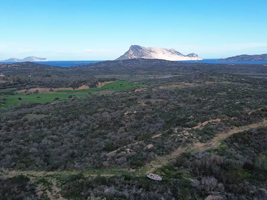 Immagine 4 di Terreno agricolo in vendita  in Via Nazionale s.n.c. a Aggius