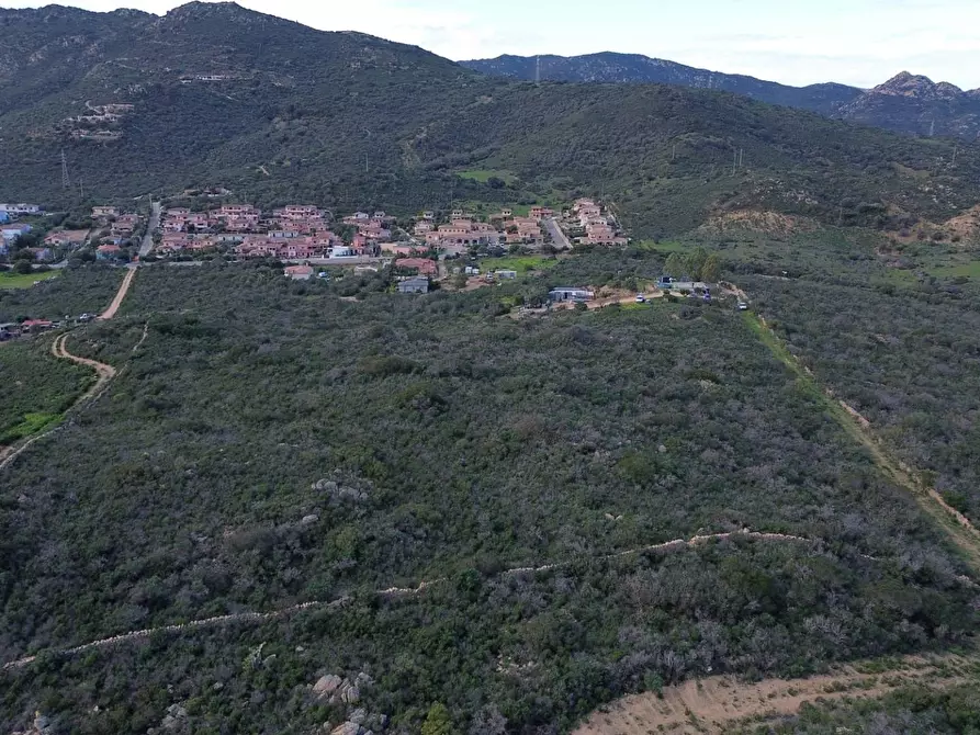 Immagine 5 di Terreno agricolo in vendita  in Via Nazionale s.n.c. a Aggius