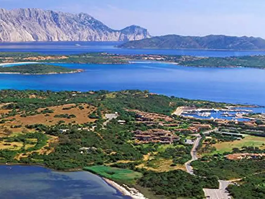 Immagine 10 di Terreno agricolo in vendita  in Via Nazionale s.n.c. a Aggius