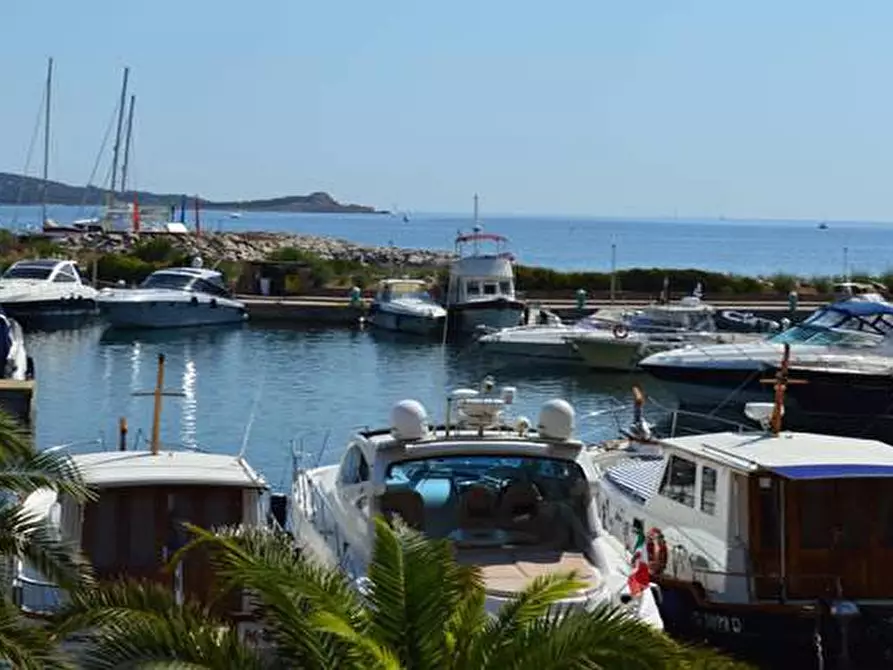 Immagine 11 di Terreno agricolo in vendita  in Via Nazionale s.n.c. a Aggius