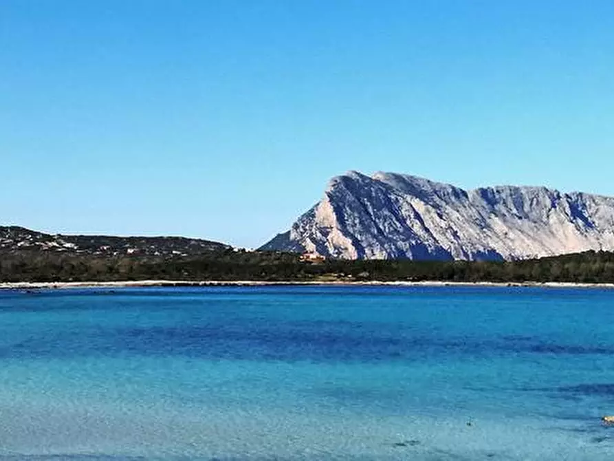 Immagine 9 di Terreno agricolo in vendita  in Via Nazionale s.n.c. a Aggius