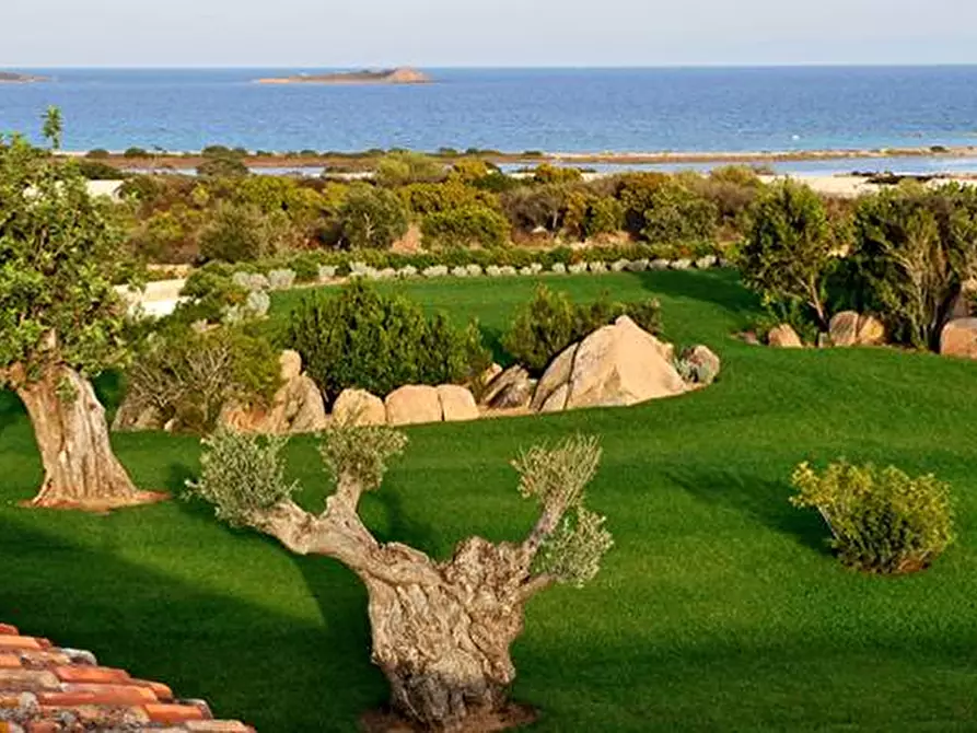 Immagine 2 di Terreno agricolo in vendita  in Via Nazionale s.n.c. a Aggius