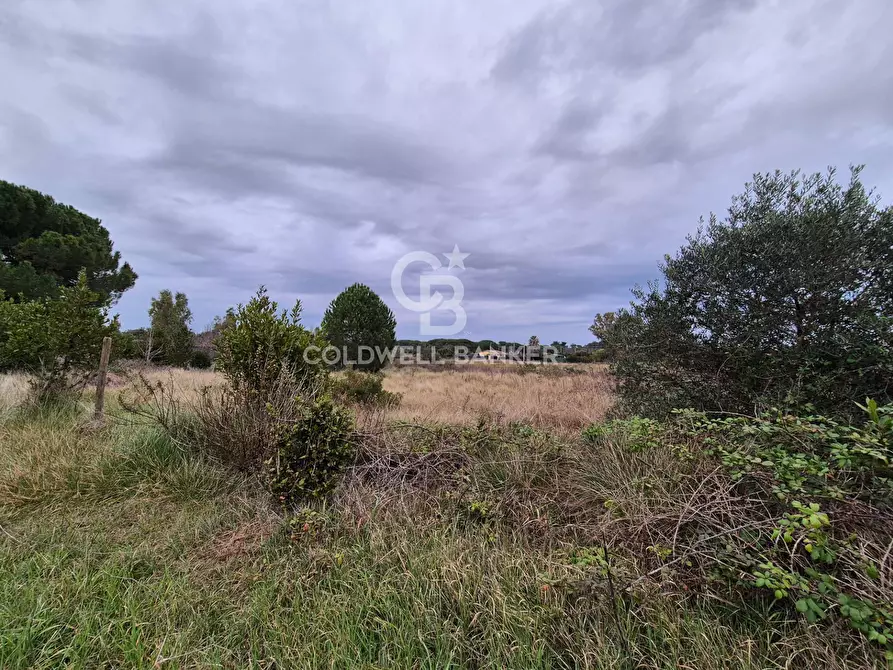 Immagine 2 di Terreno agricolo in vendita  in Località San Giorgio Snc a Tarquinia