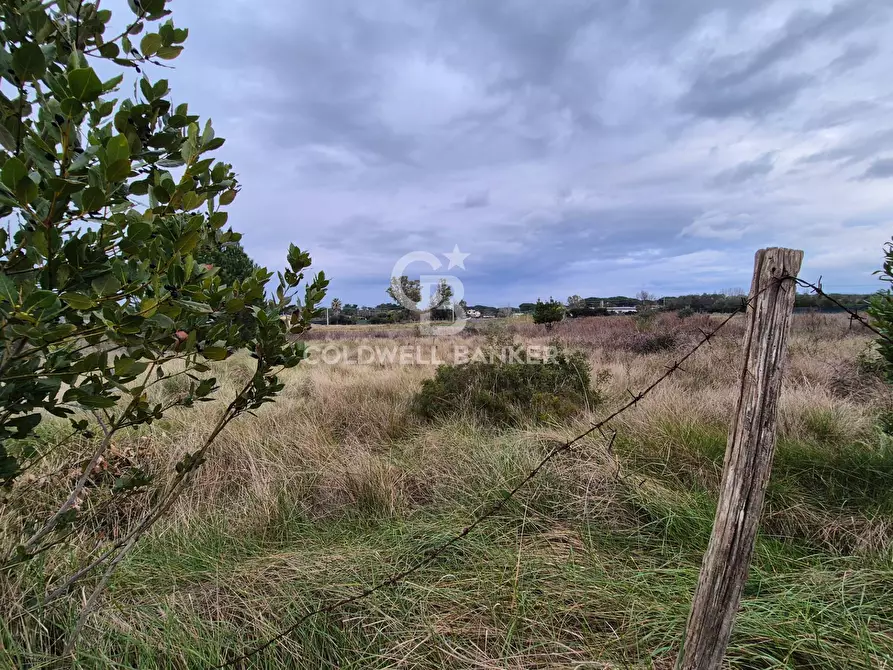 Immagine 3 di Terreno agricolo in vendita  in Località San Giorgio Snc a Tarquinia