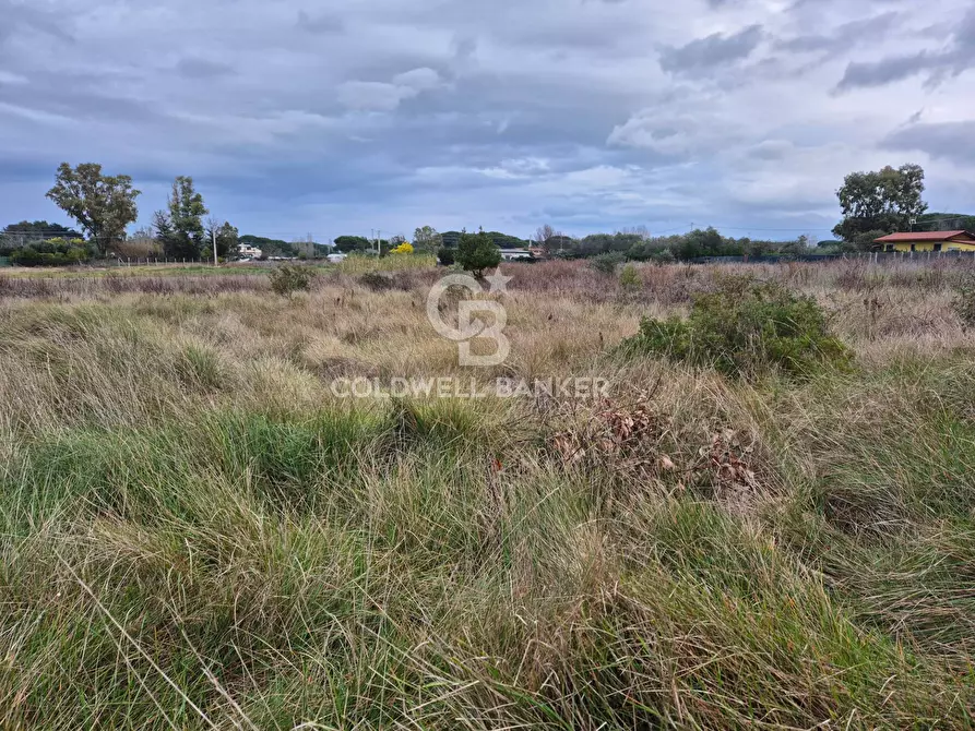 Immagine 7 di Terreno agricolo in vendita  in Località San Giorgio Snc a Tarquinia