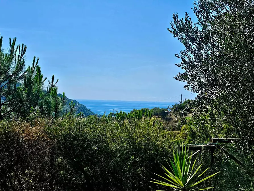 Immagine 23 di Villa in vendita  in Via Annunziata snc a Castellabate