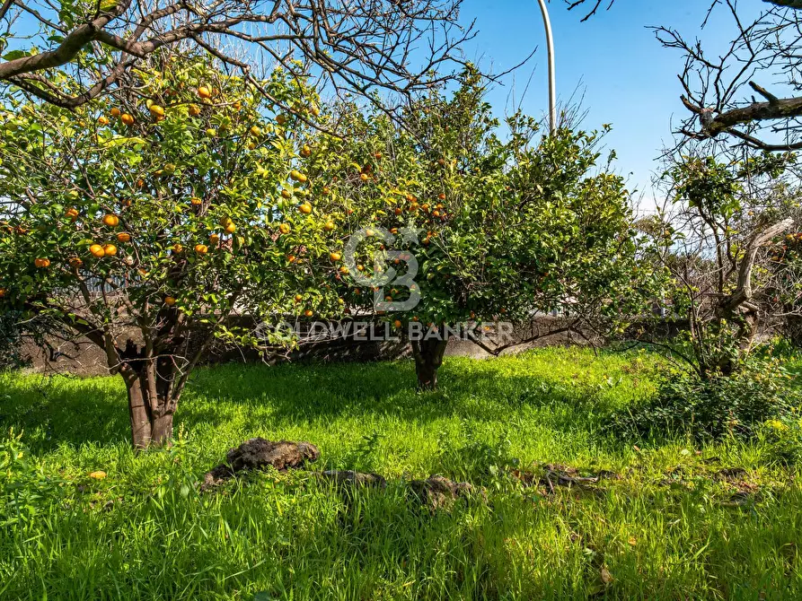 Immagine 20 di Terreno agricolo in vendita  in VIA DELLO STADIO SNC a Acireale