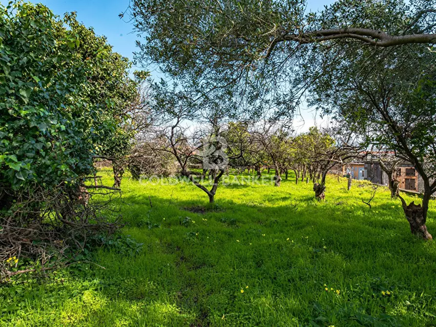 Immagine 23 di Terreno agricolo in vendita  in VIA DELLO STADIO SNC a Acireale