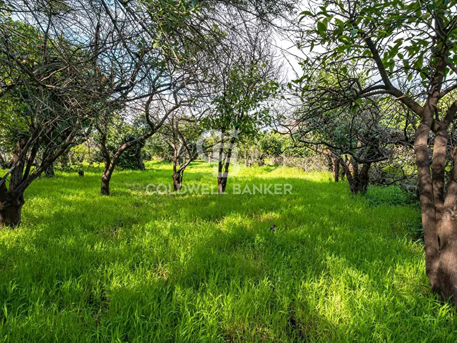 Immagine 25 di Terreno agricolo in vendita  in VIA DELLO STADIO SNC a Acireale