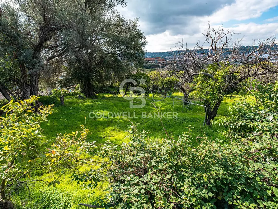 Immagine 32 di Terreno agricolo in vendita  in VIA DELLO STADIO SNC a Acireale