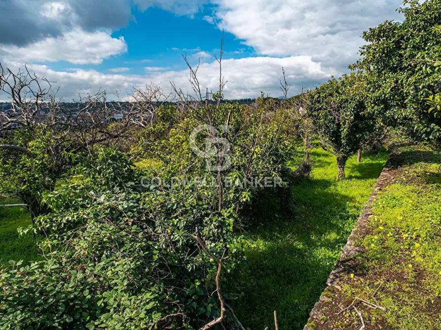 Immagine 26 di Terreno agricolo in vendita  in VIA DELLO STADIO SNC a Acireale