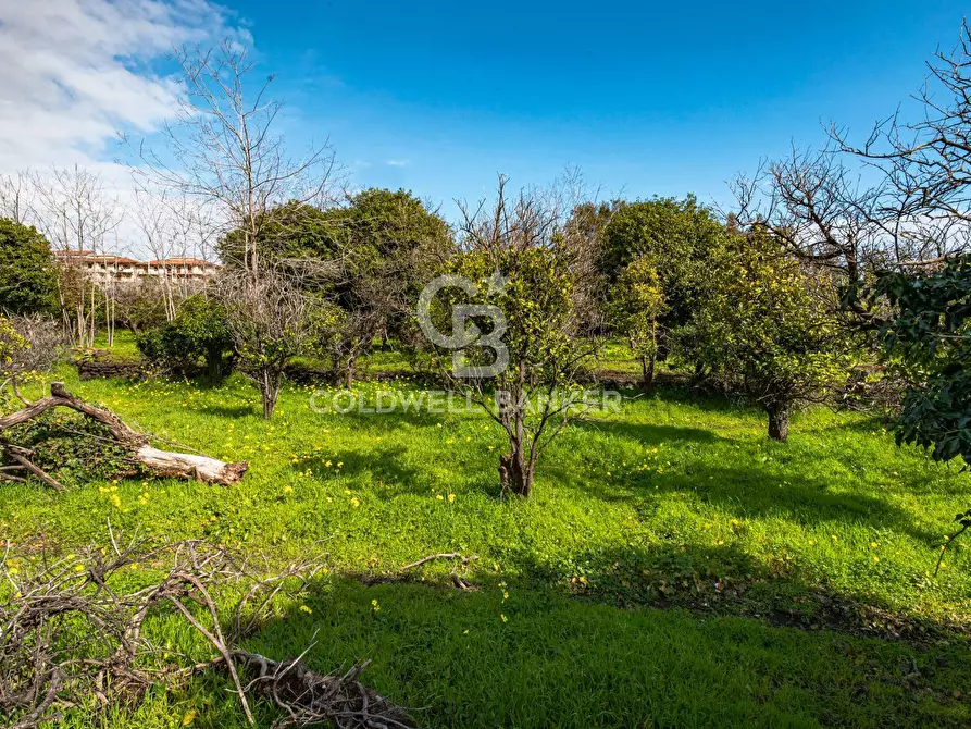 Immagine 27 di Terreno agricolo in vendita  in VIA DELLO STADIO SNC a Acireale