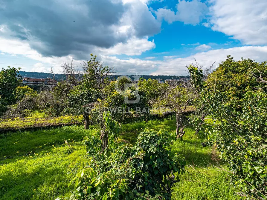 Immagine 28 di Terreno agricolo in vendita  in VIA DELLO STADIO SNC a Acireale