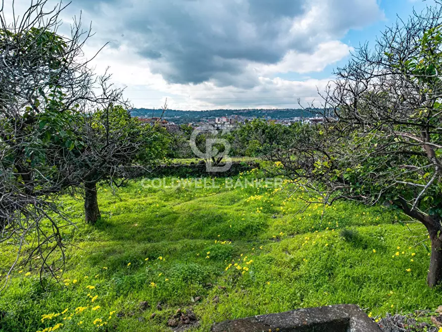 Immagine 31 di Terreno agricolo in vendita  in VIA DELLO STADIO SNC a Acireale