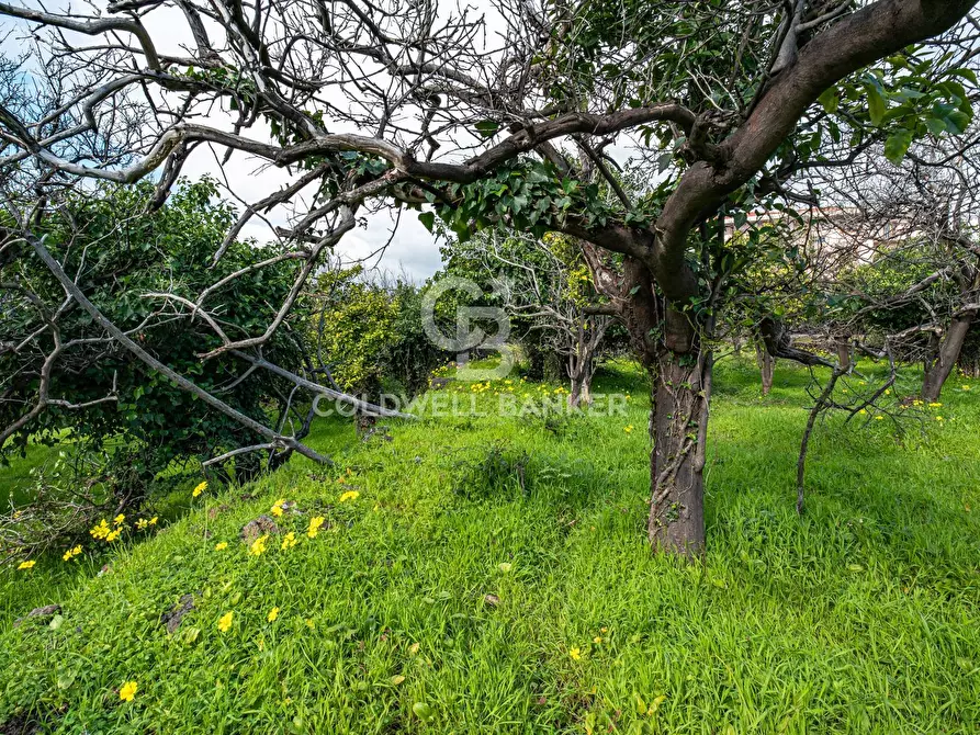 Immagine 33 di Terreno agricolo in vendita  in VIA DELLO STADIO SNC a Acireale