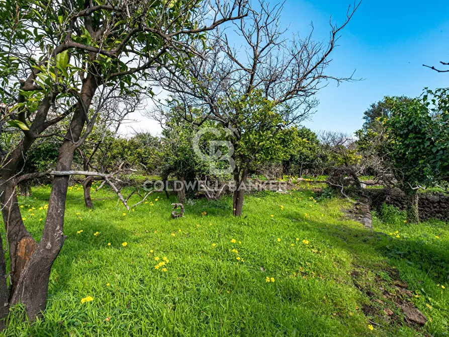 Immagine 34 di Terreno agricolo in vendita  in VIA DELLO STADIO SNC a Acireale