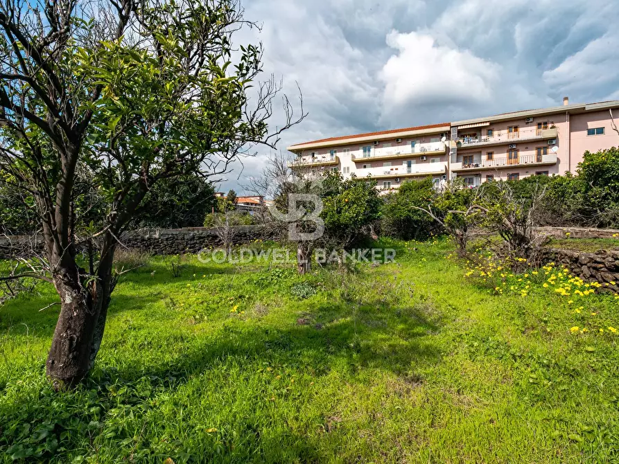 Immagine 35 di Terreno agricolo in vendita  in VIA DELLO STADIO SNC a Acireale