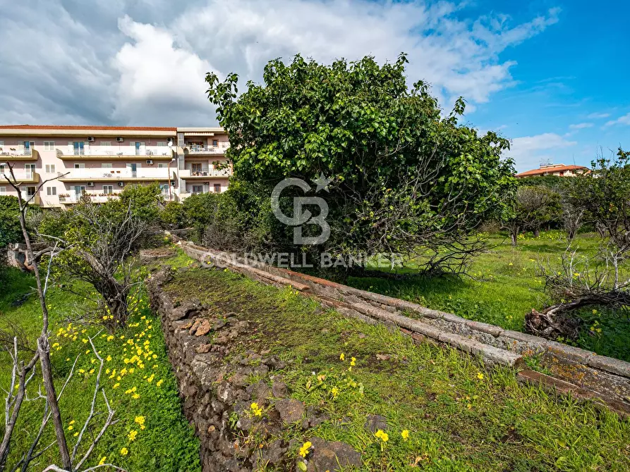 Immagine 36 di Terreno agricolo in vendita  in VIA DELLO STADIO SNC a Acireale