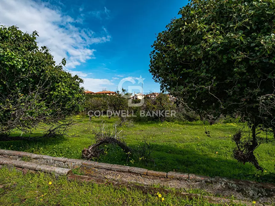 Immagine 37 di Terreno agricolo in vendita  in VIA DELLO STADIO SNC a Acireale