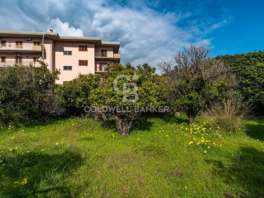 Immagine 39 di Terreno agricolo in vendita  in VIA DELLO STADIO SNC a Acireale