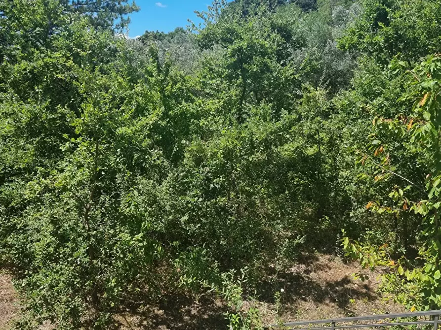 Immagine 4 di Villa in vendita  in contrada mucchi 1 a Poggio Sannita