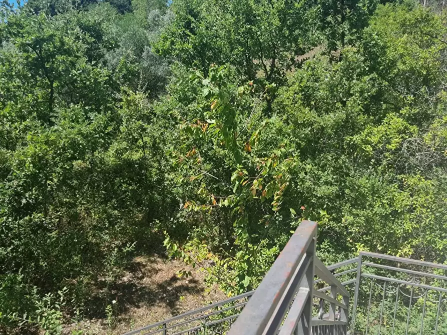 Immagine 9 di Villa in vendita  in contrada mucchi 1 a Poggio Sannita