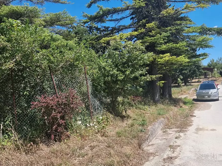 Immagine 13 di Villa in vendita  in contrada mucchi 1 a Poggio Sannita