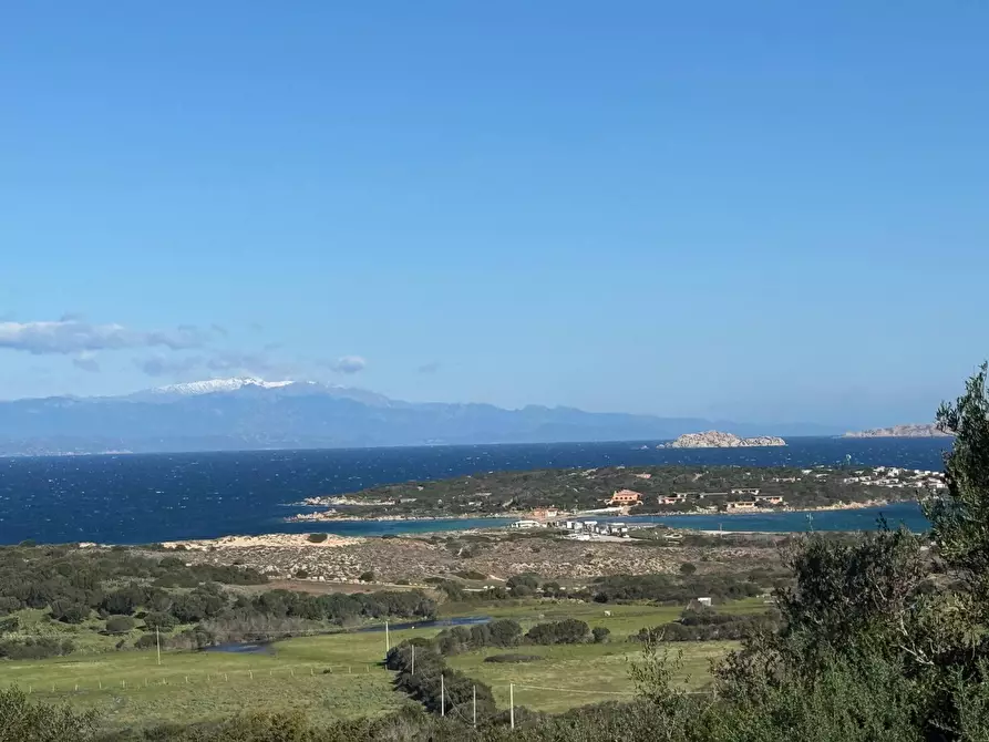 Immagine 14 di Terreno residenziale in vendita  in Barrabisa a Aggius
