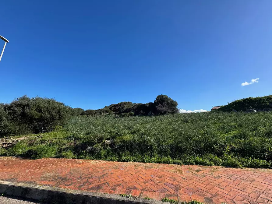 Immagine 20 di Terreno residenziale in vendita  in Barrabisa a Aggius