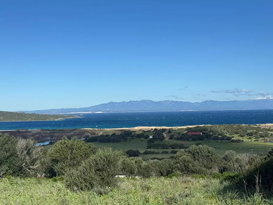 Immagine 3 di Terreno residenziale in vendita  in Barrabisa a Aggius