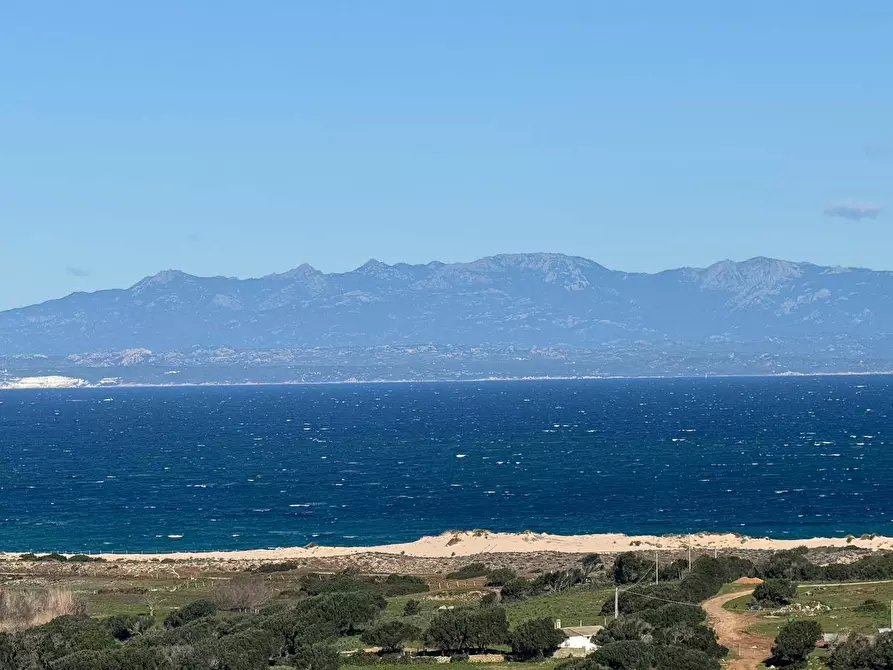 Immagine 2 di Terreno residenziale in vendita  in Barrabisa a Aggius