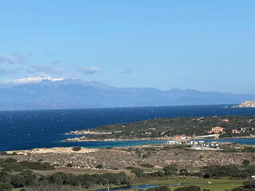 Immagine 15 di Terreno residenziale in vendita  in Barrabisa a Aggius
