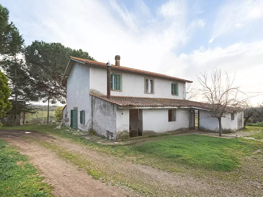 Immagine 3 di Rustico / casale in vendita  in Località Scassato a Vetralla