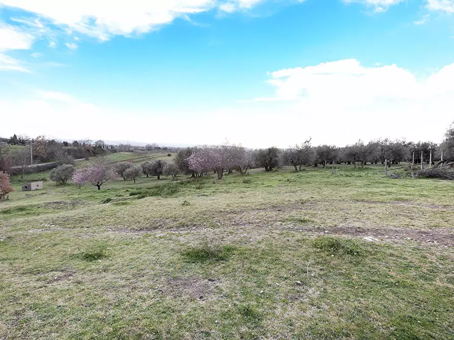 Immagine 19 di Rustico / casale in vendita  in Località Scassato a Vetralla