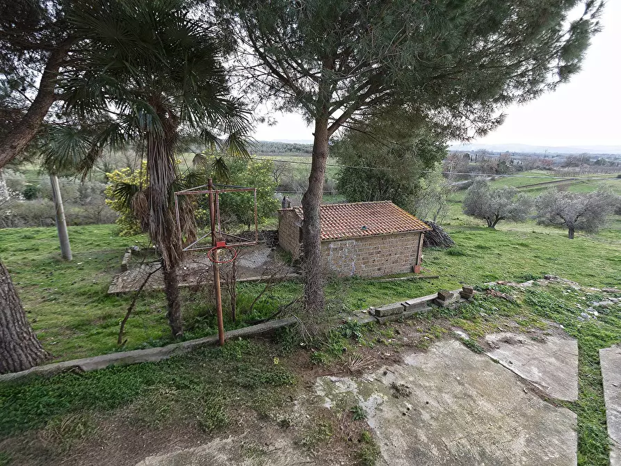 Immagine 32 di Rustico / casale in vendita  in Località Scassato a Vetralla
