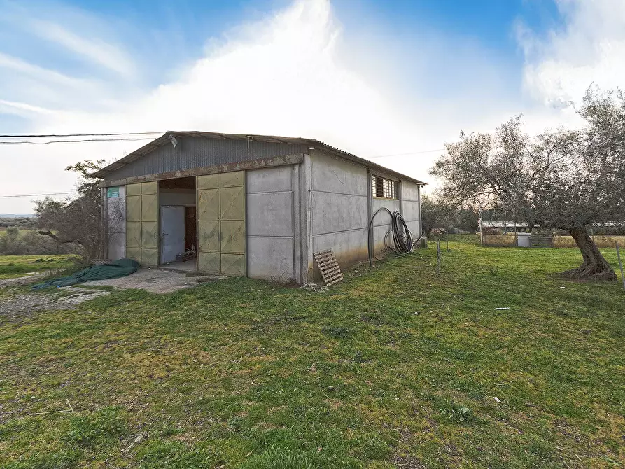 Immagine 34 di Rustico / casale in vendita  in Località Scassato a Vetralla