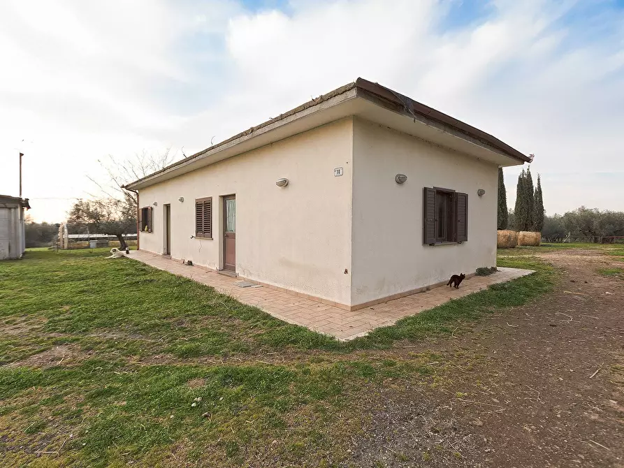 Immagine 37 di Rustico / casale in vendita  in Località Scassato a Vetralla