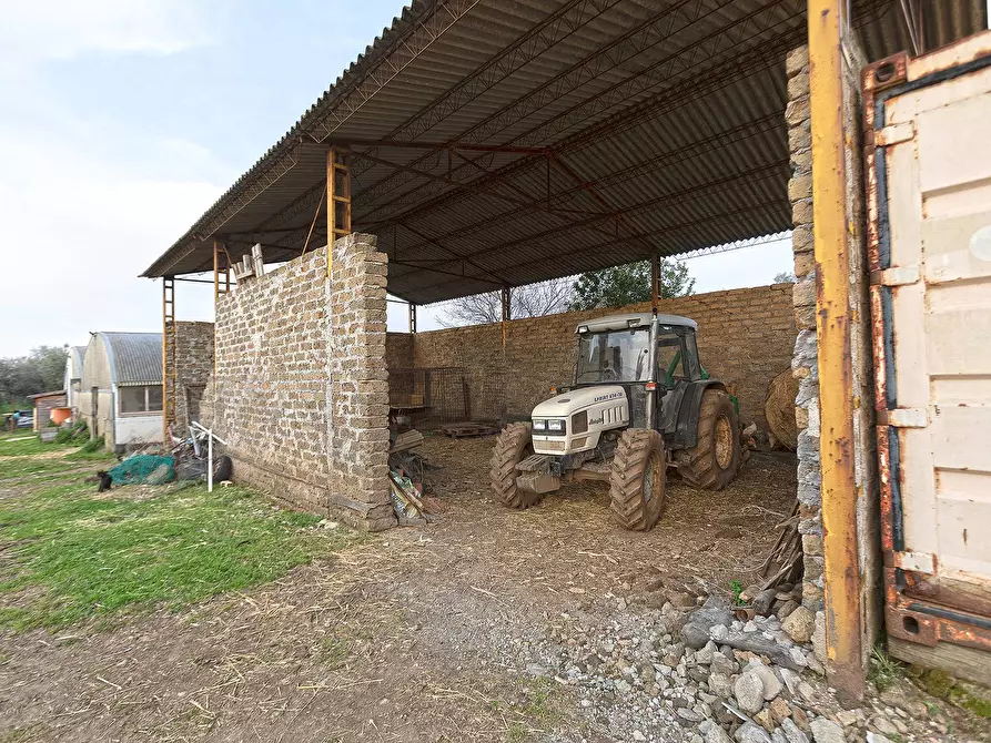 Immagine 39 di Rustico / casale in vendita  in Località Scassato a Vetralla