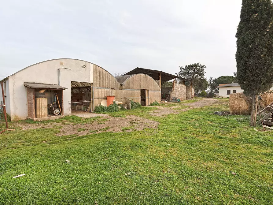 Immagine 40 di Rustico / casale in vendita  in Località Scassato a Vetralla