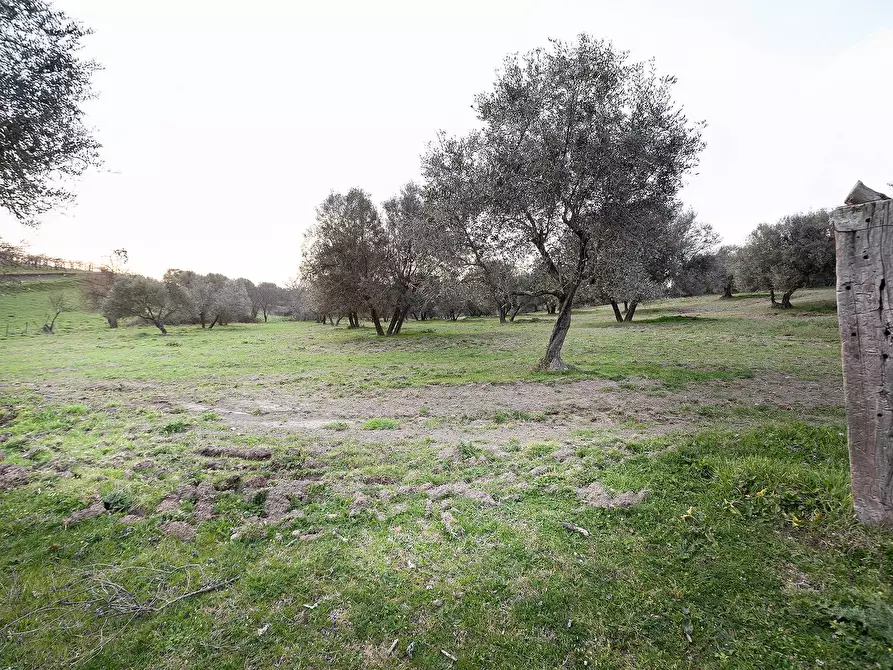 Immagine 41 di Rustico / casale in vendita  in Località Scassato a Vetralla