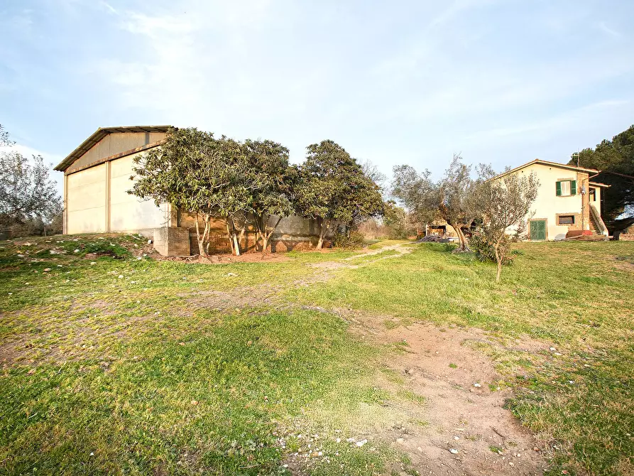 Immagine 42 di Rustico / casale in vendita  in Località Scassato a Vetralla