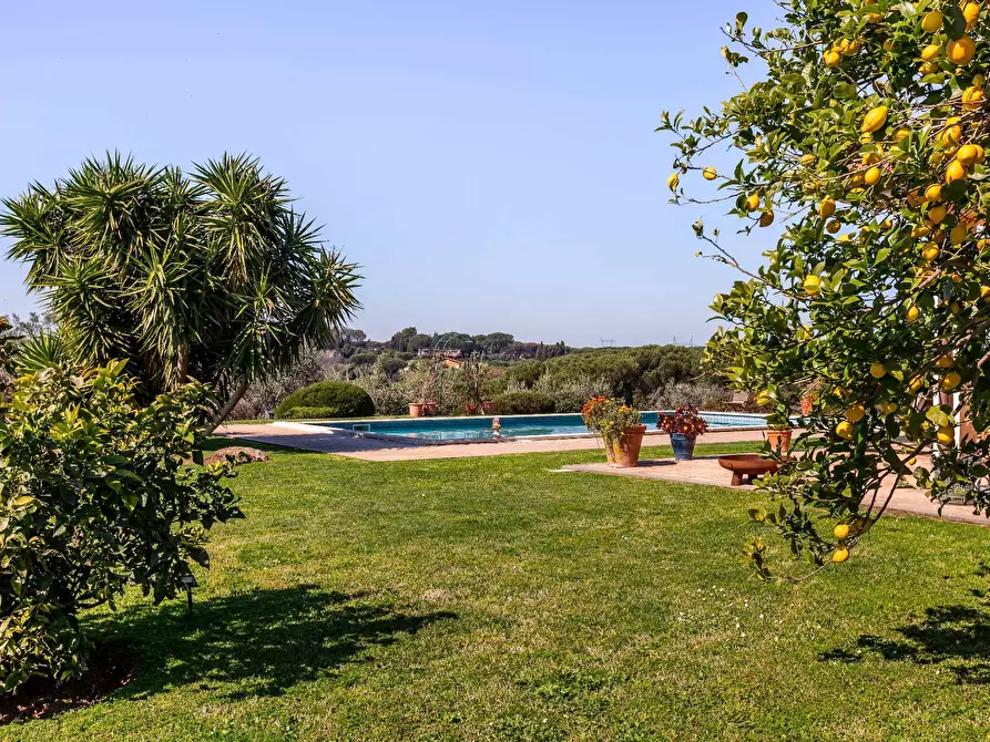 Immagine 49 di Villa in vendita  in Via Roberto Mazzucco a Roma