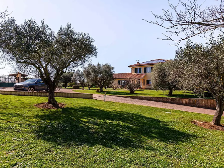 Immagine 53 di Villa in vendita  in Via Roberto Mazzucco a Roma