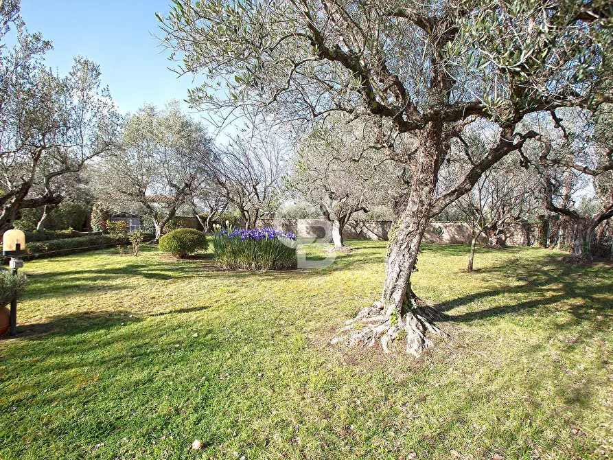 Immagine 41 di Villa in vendita  in Strada Due Casali a Viterbo