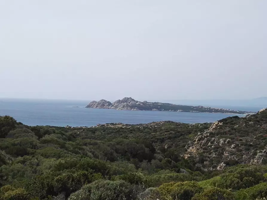 Immagine 8 di Terreno agricolo in vendita  in SP90 s.n.c. a Santa Teresa Gallura