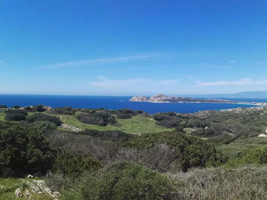 Immagine 5 di Terreno agricolo in vendita  in SP90 s.n.c. a Santa Teresa Gallura